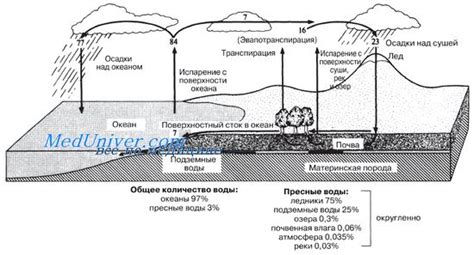 Вода в природе: гидрологический цикл