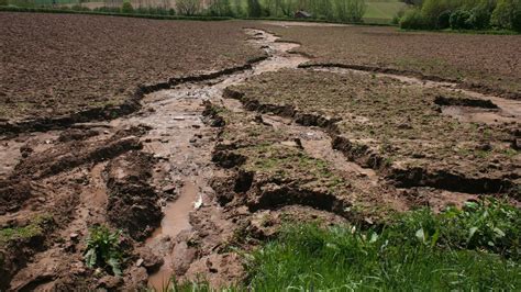 Вода и почва: причины появления налета