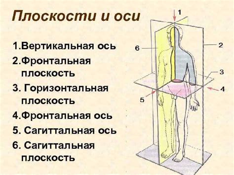 Вода сжимается при проникновении в глубину человеческого тела