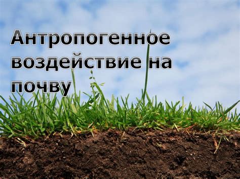 Воздействие погодных условий на почву