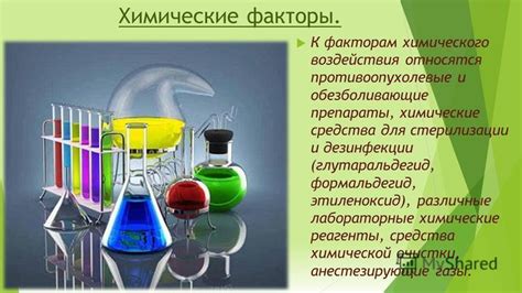 Воздействие стиральной машины: механические и химические факторы