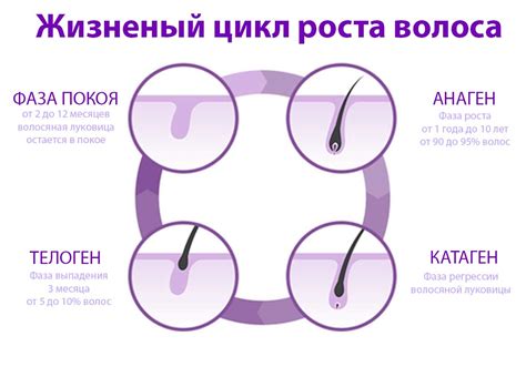 Воздействие стресса на рост волос на боках