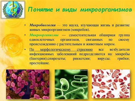 Воздух: микроорганизмы и их распределение