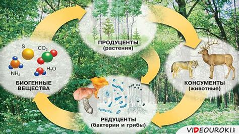 Возможное влияние экологических факторов