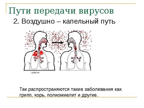 Возможность передачи вирусов, таких как герпес