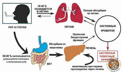 Возможные побочные эффекты при потреблении гематогена и их связь с привкусом крови во рту