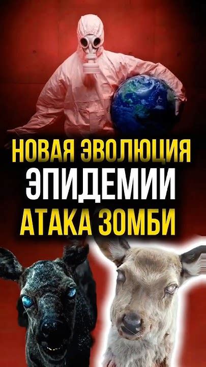 Возможные последствия появления зомби-животных