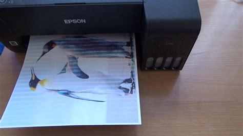 Возможные причины проблемы с цветопередачей на принтере Epson и их решение