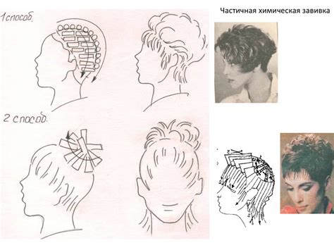 Волосы и эволюция
