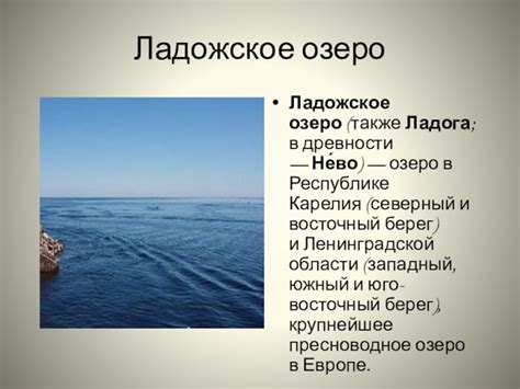 Восточный берег реки
