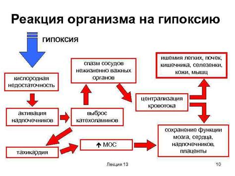 Временная реакция организма