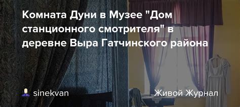 Выбор смотрителя: важное решение Дуни