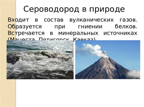 Выделение газов при гниении