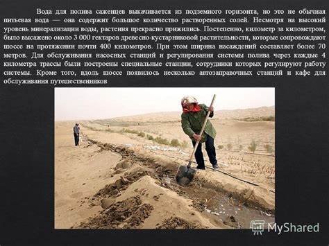 Высокий уровень солей
