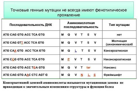Генетическая основа