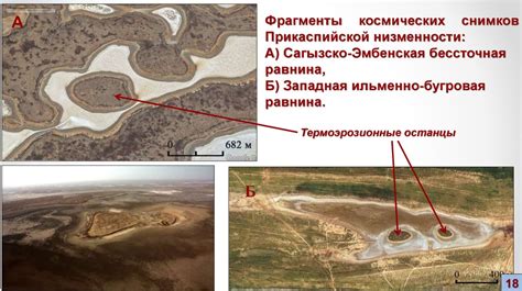География и экология: состязание разнообразия и устойчивости