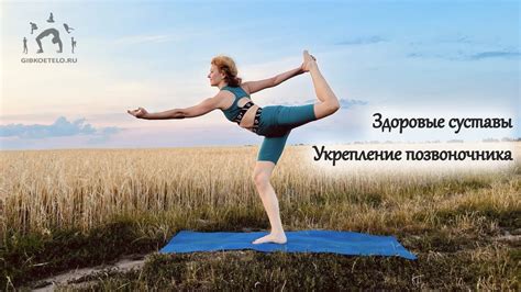 Гимнастика как основа гибкости и силы