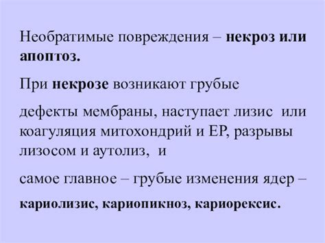 Дефекты мембраны подсоса