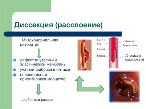 Дефект внутренней аппаратуры