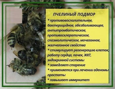 Длительность хранения пчелиного подмора