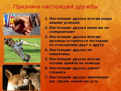 Друзья должны быть честными и не эгоистичными