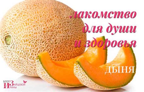 Дыня в косметологии - полезные свойства