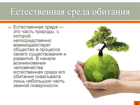 Естественная среда