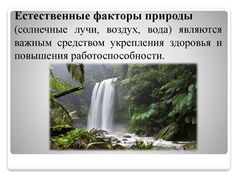 Естественные факторы, исключающие появление животных в виде зомби