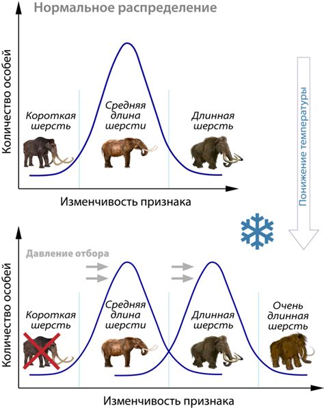 Естественный отбор