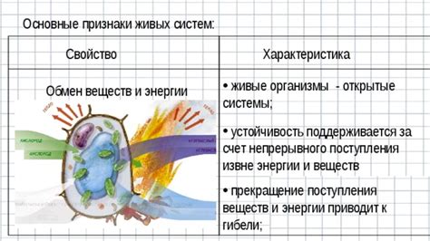 Живые системы: основные признаки
