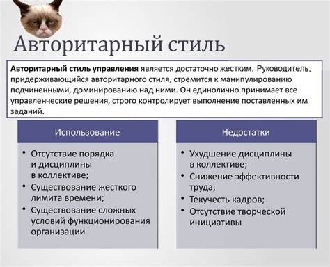 Загруженность руководителя СНТ