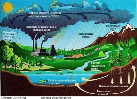 Загрязнение водной среды: отрицательные воздействия на организм уток