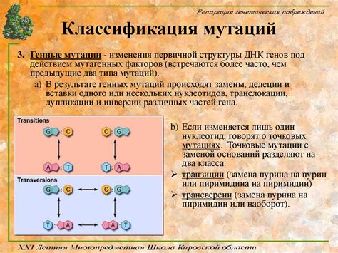 Защита от мутаций и генетических нарушений