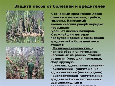 Защита от хищников и болезней