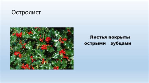 Защитные механизмы растений