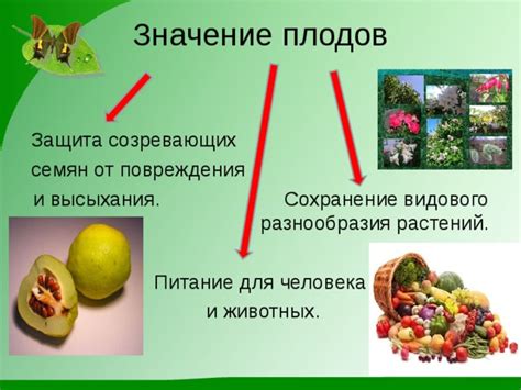 Значение высыхания