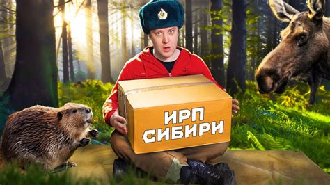 Значение имени "Шаг вперед" для лося и его символическая сила