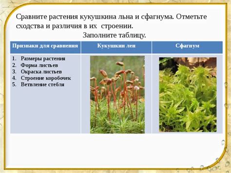 Значение кукушкина лена и сфагнума в растительном мире
