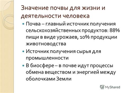 Значение почвы для человека