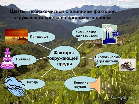 Значение реки Инга для окружающей среды и человека