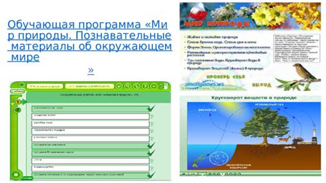 Значение сохранения почвы в окружающем мире