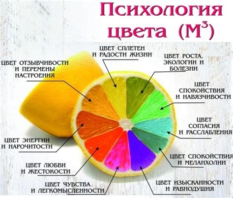 Значение эстетики в нашей жизни