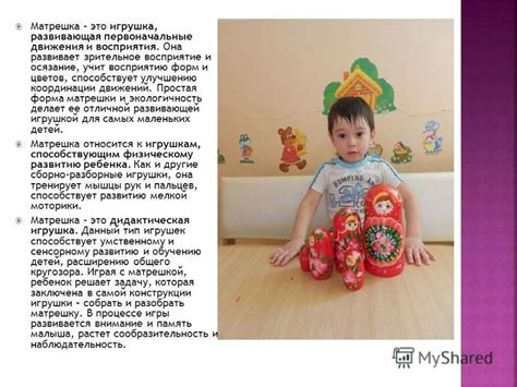 Зрительное восприятие форм и цветов у лисы и кошки