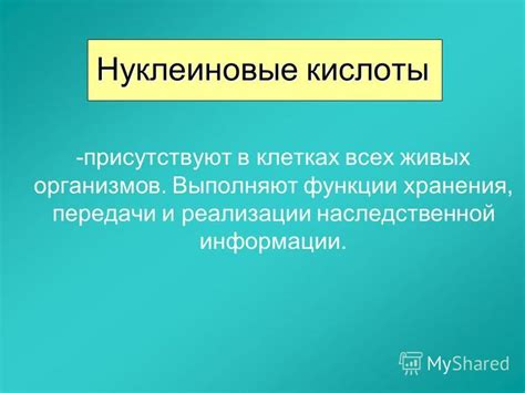 Идентичность способов хранения, передачи и реализации наследственной информации