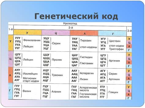 Индивидуальность генетического кода