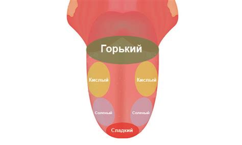 Исследование языка тела