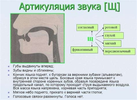 Исторические изменения звука "щ"