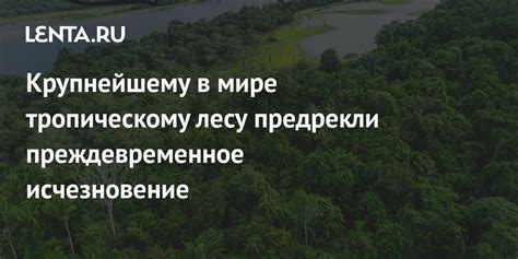 Исчезновение мест обитания
