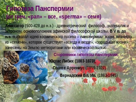 Как избежать образования белых пятен на земле