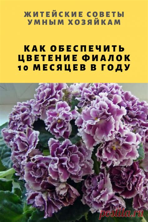 Как обеспечить ранее цветение